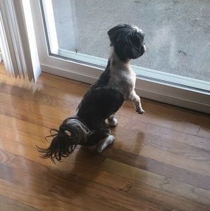 Meet your Posher, Katherine